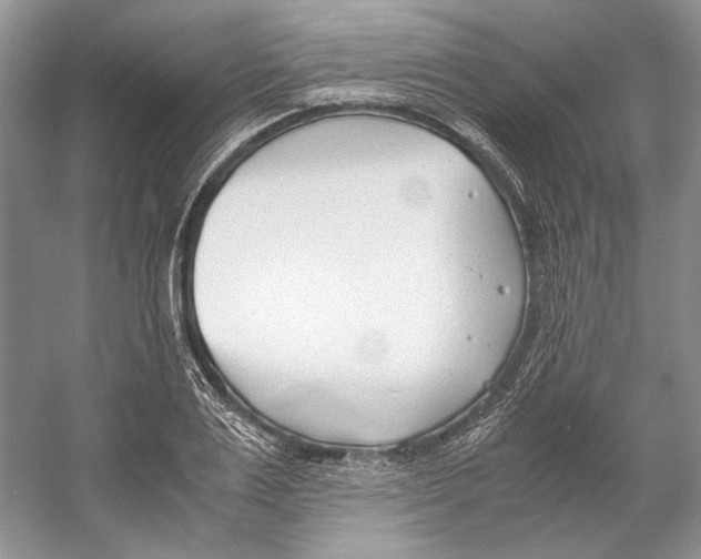 X0000053110983200508081221