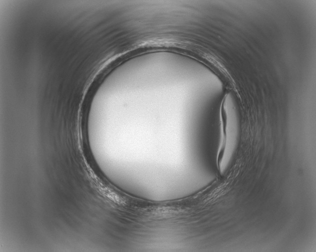 X0000053110984200508081221