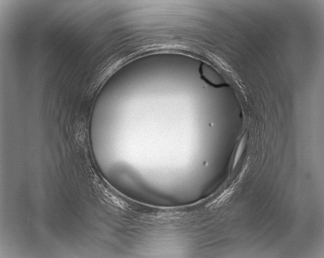 X0000053110985200508081221