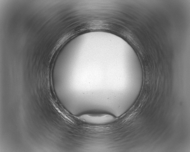 X0000053110986200508081221