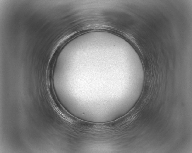 X0000053110987200508081221