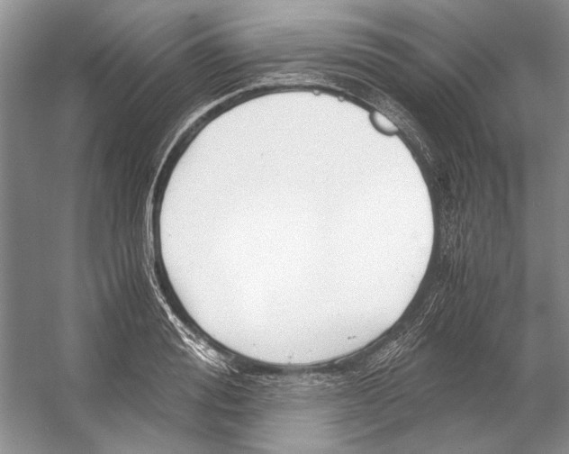 X0000053110988200508081221