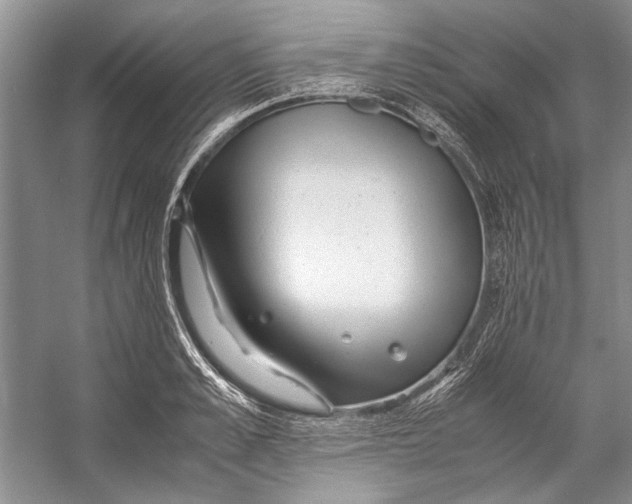 X0000053110989200508081221