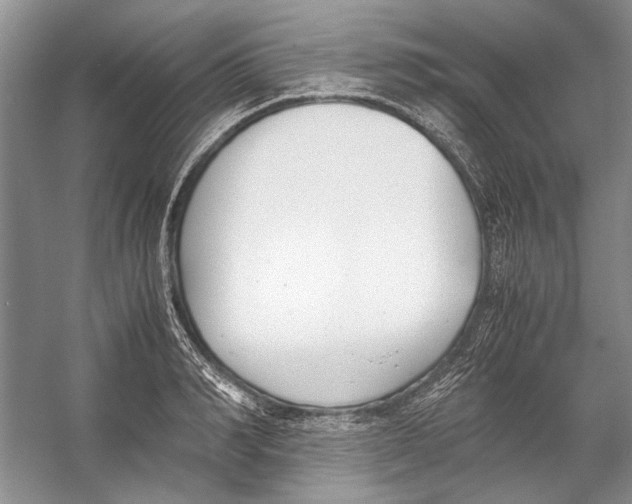 X0000053110990200508081220