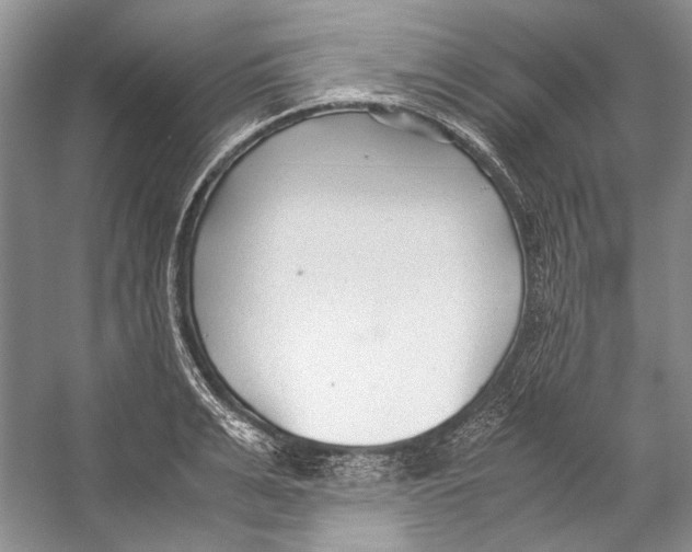 X0000053110991200508081220