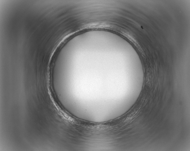 X0000053110992200508081220