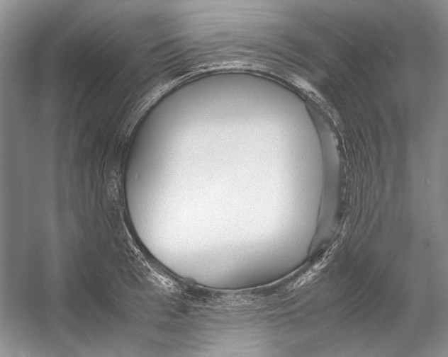 X0000053110993200508081220