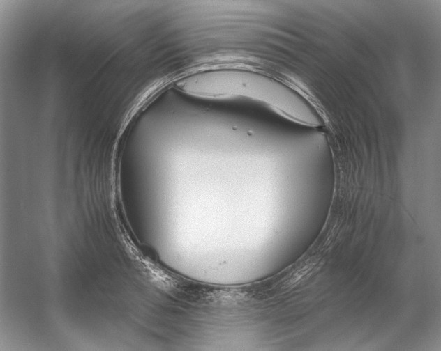 X0000053110994200508081220