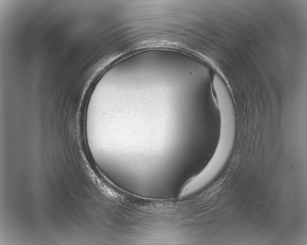 X0000053110995200508081220