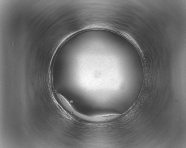 X0000053110996200508081220