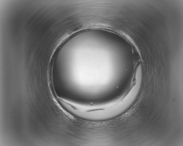 X0000053110997200508081220