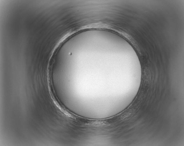 X0000053110998200508081220