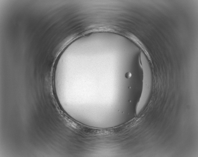 X0000053111002200508081220