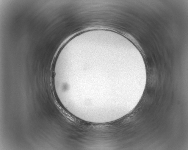 X0000053111004200508081220