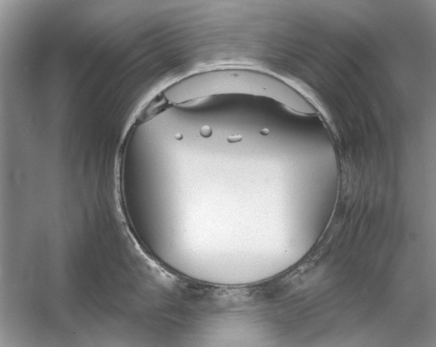 X0000053111006200508081220