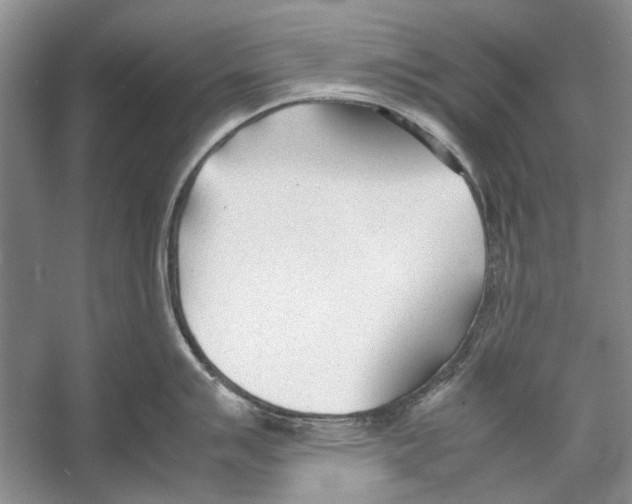 X0000053111007200508081220