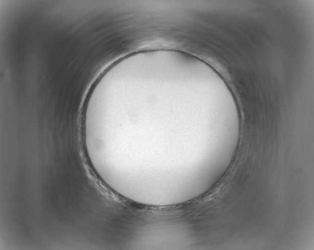 X0000053111008200508081220