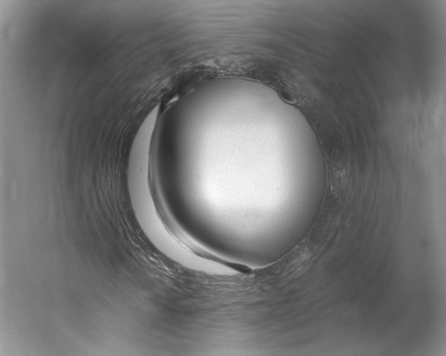 X0000053111010200508081219