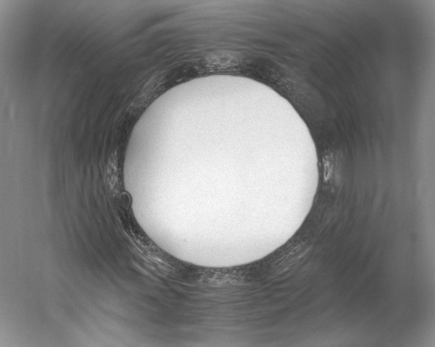 X0000053111011200508081219