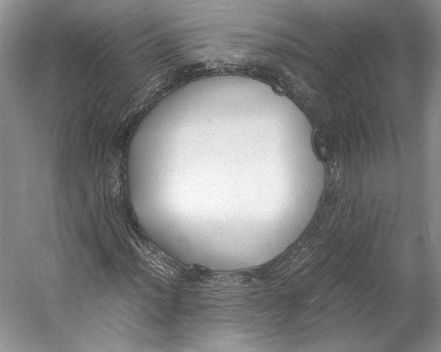 X0000053111012200508081219