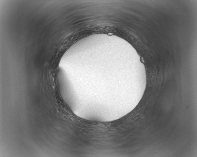 X0000053111013200508081219