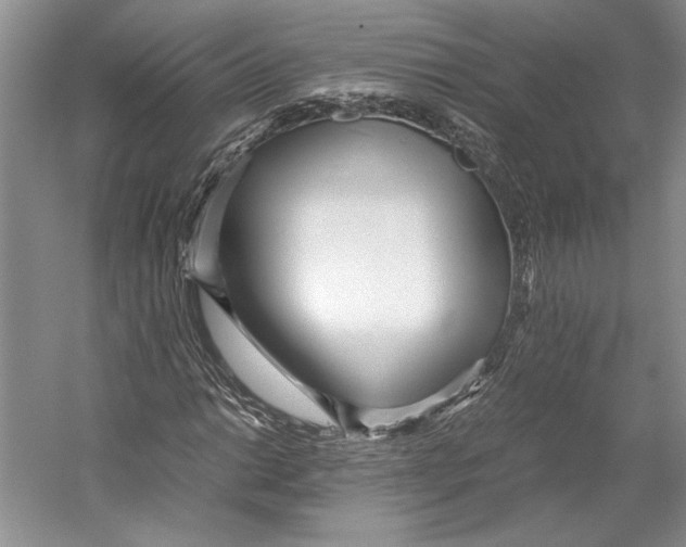 X0000053111014200508081219