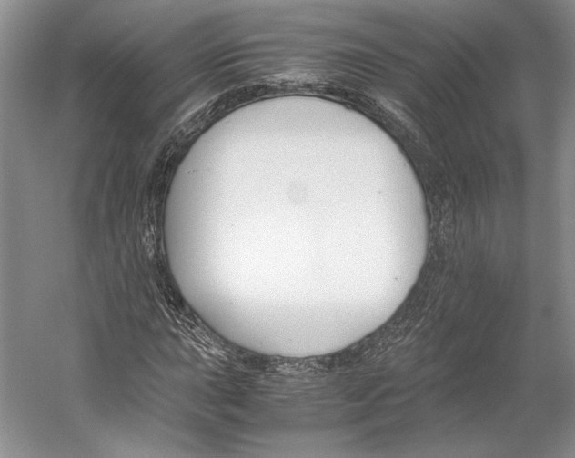 X0000053111015200508081219