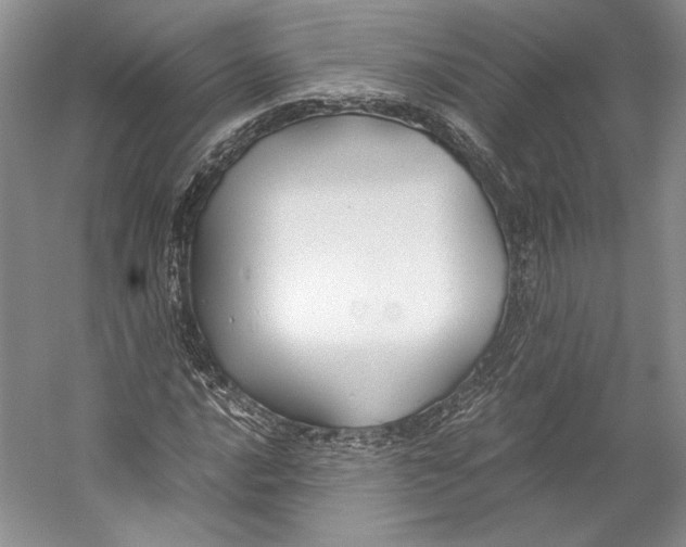 X0000053111016200508081219