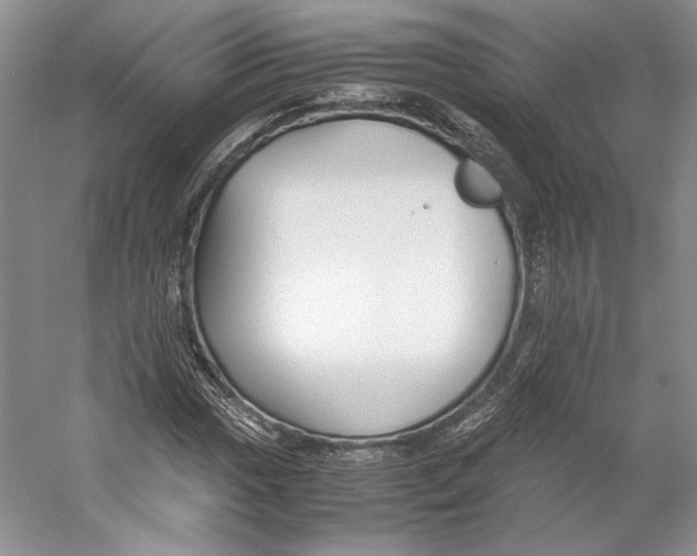 X0000053111017200508081219