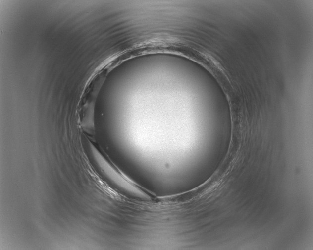 X0000053111018200508081220