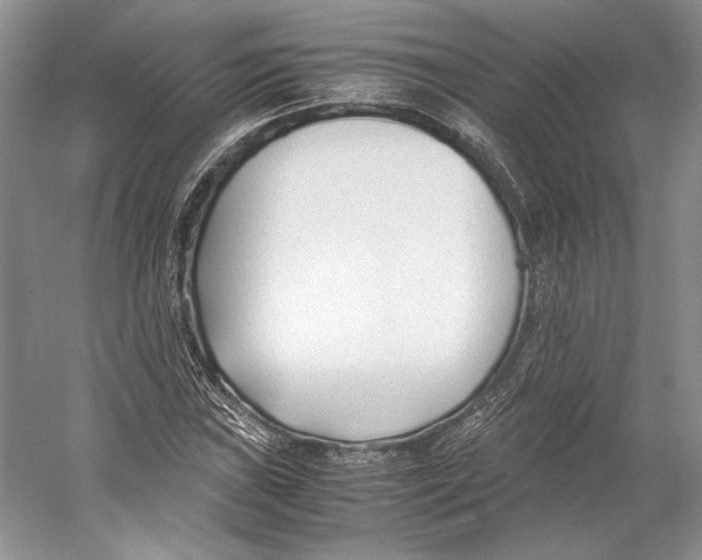 X0000053111019200508081220