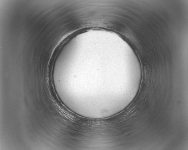 X0000053111020200508081220