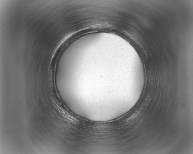 X0000053111021200508081220