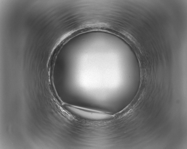 X0000053111022200508081220