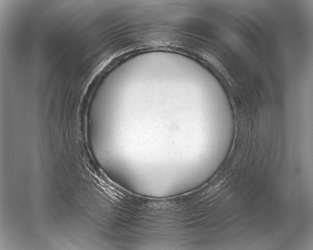 X0000053111023200508081220