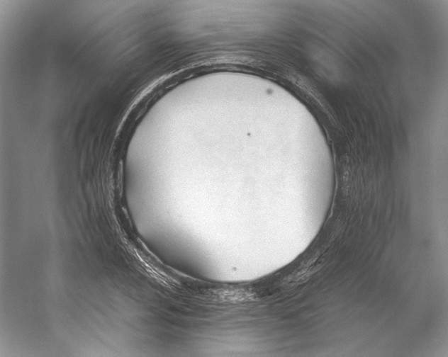 X0000053111024200508081220