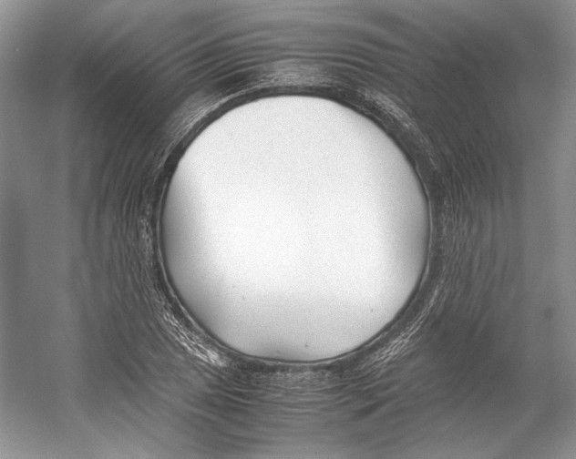 X0000053111025200508081220