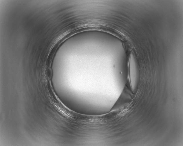 X0000053111026200508081220