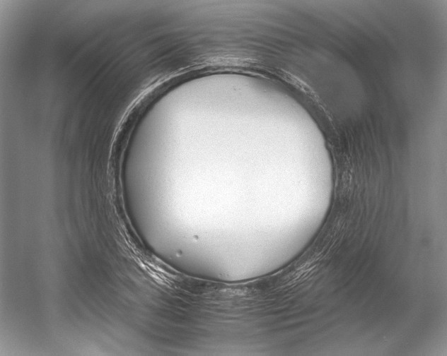 X0000053111027200508081220