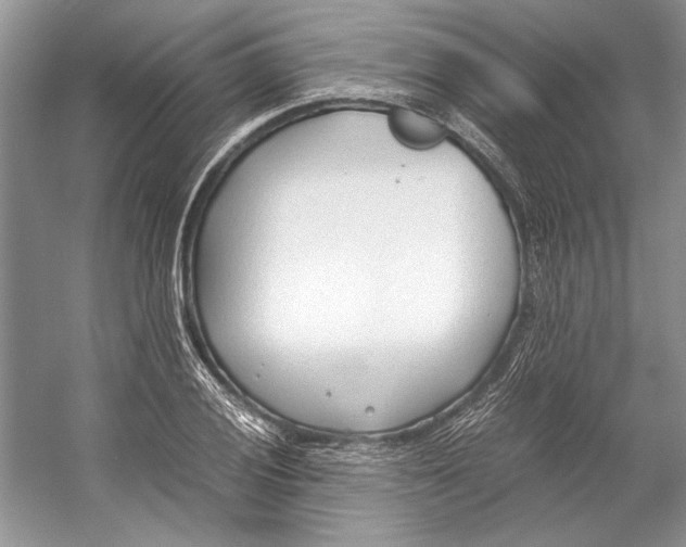 X0000053111028200508081220