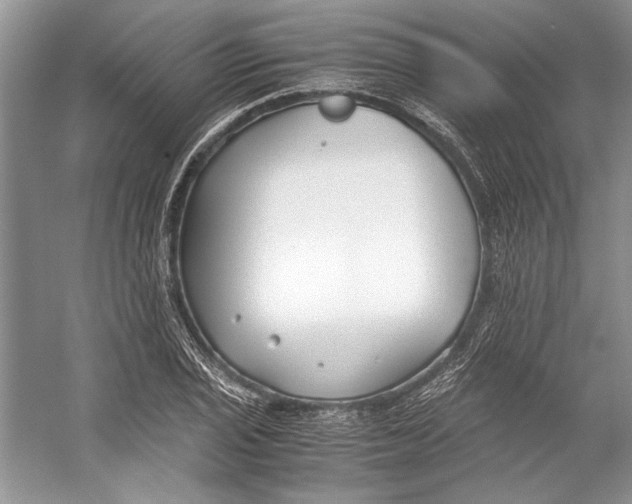 X0000053111029200508081220