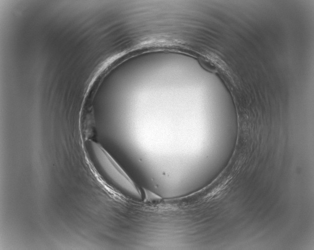 X0000053111030200508081220