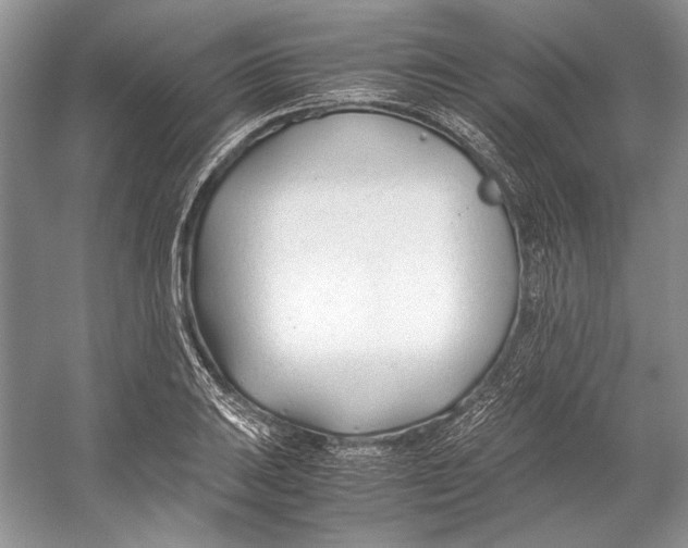 X0000053111031200508081220