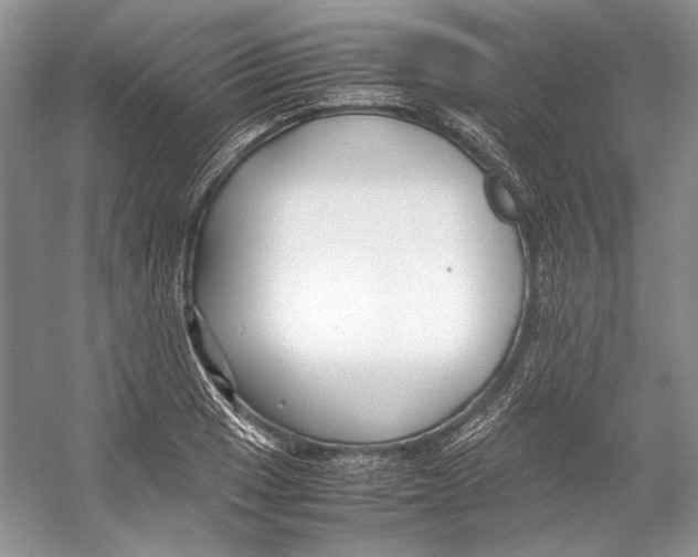 X0000053111033200508081220