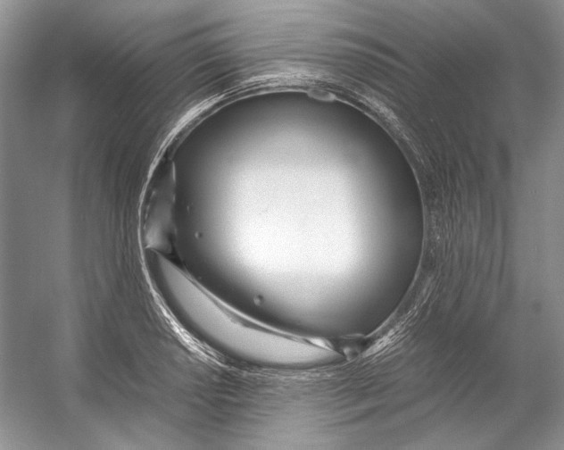 X0000053111034200508081220