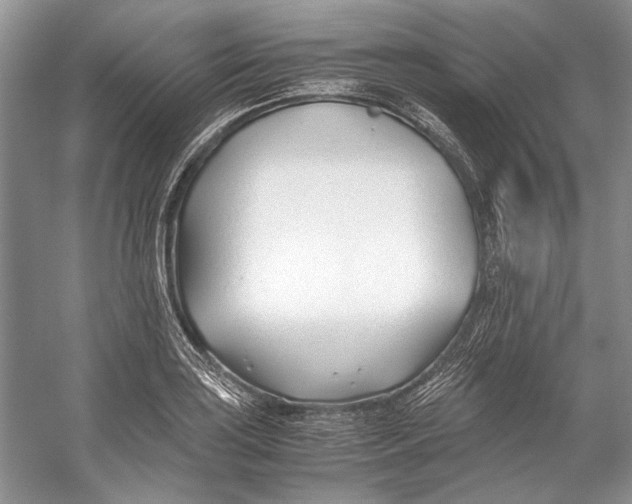 X0000053111035200508081220