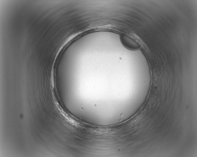 X0000053111036200508081220