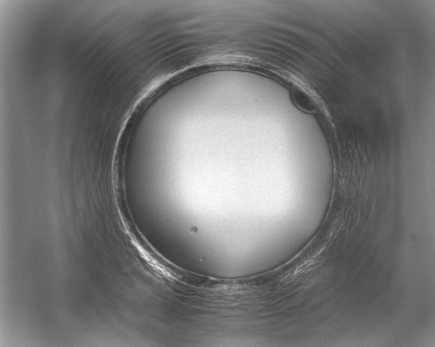 X0000053111037200508081220