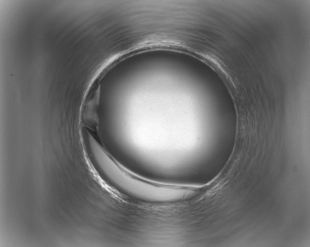 X0000053111038200508081220