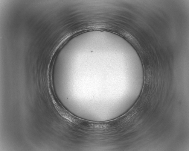 X0000053111039200508081220